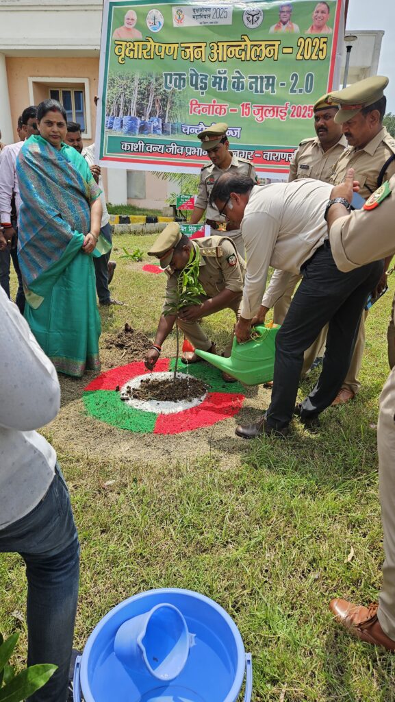 74241a5e-ada7-426a-86d8-aa3a4e43bc7d-2-577x1024